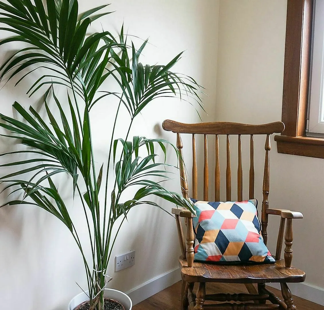 Newly Refurbished Flat Free Parking Wifi Daire Edinburgh